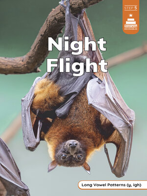 cover image of Night Flight